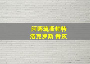 阿喀琉斯帕特洛克罗斯 骨灰